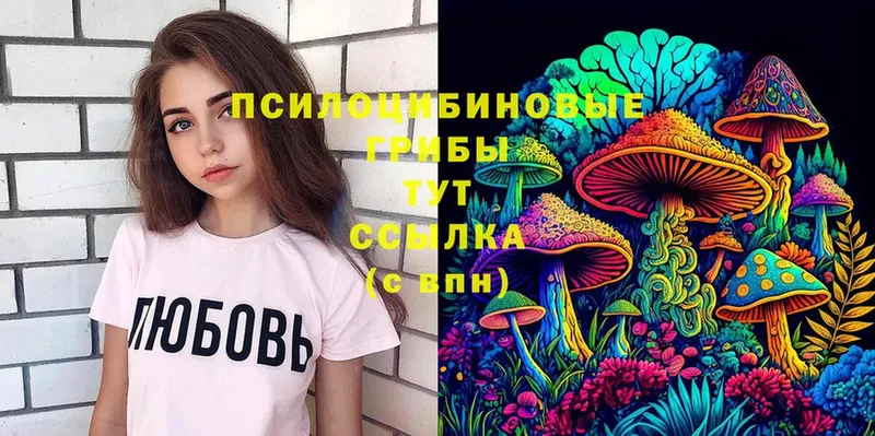 наркошоп  Харовск  Псилоцибиновые грибы Magic Shrooms 